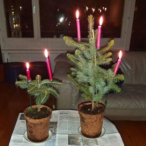 Piccolino mit angezündeten Kerzen