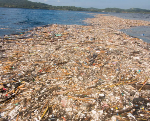 Mikroplastik und Plastikmüll im Meer