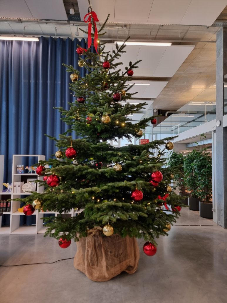 Geschmückte 4 m Nordmanntanne / Weihnachtsbaum von HAPPY TREE