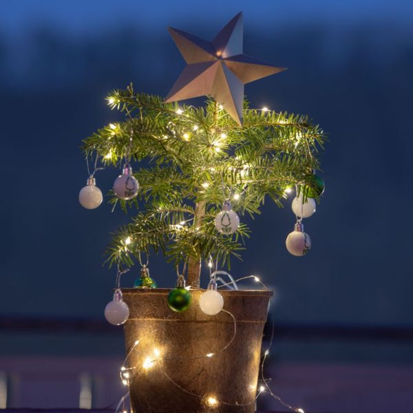 Nordmanntanne Piccolino Weihnachtsbaum dekoriert im 3 Liter HAPPY TREE Topf
