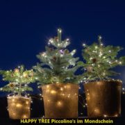 Merry Christmas mit HAPPY TREE Piccolino's